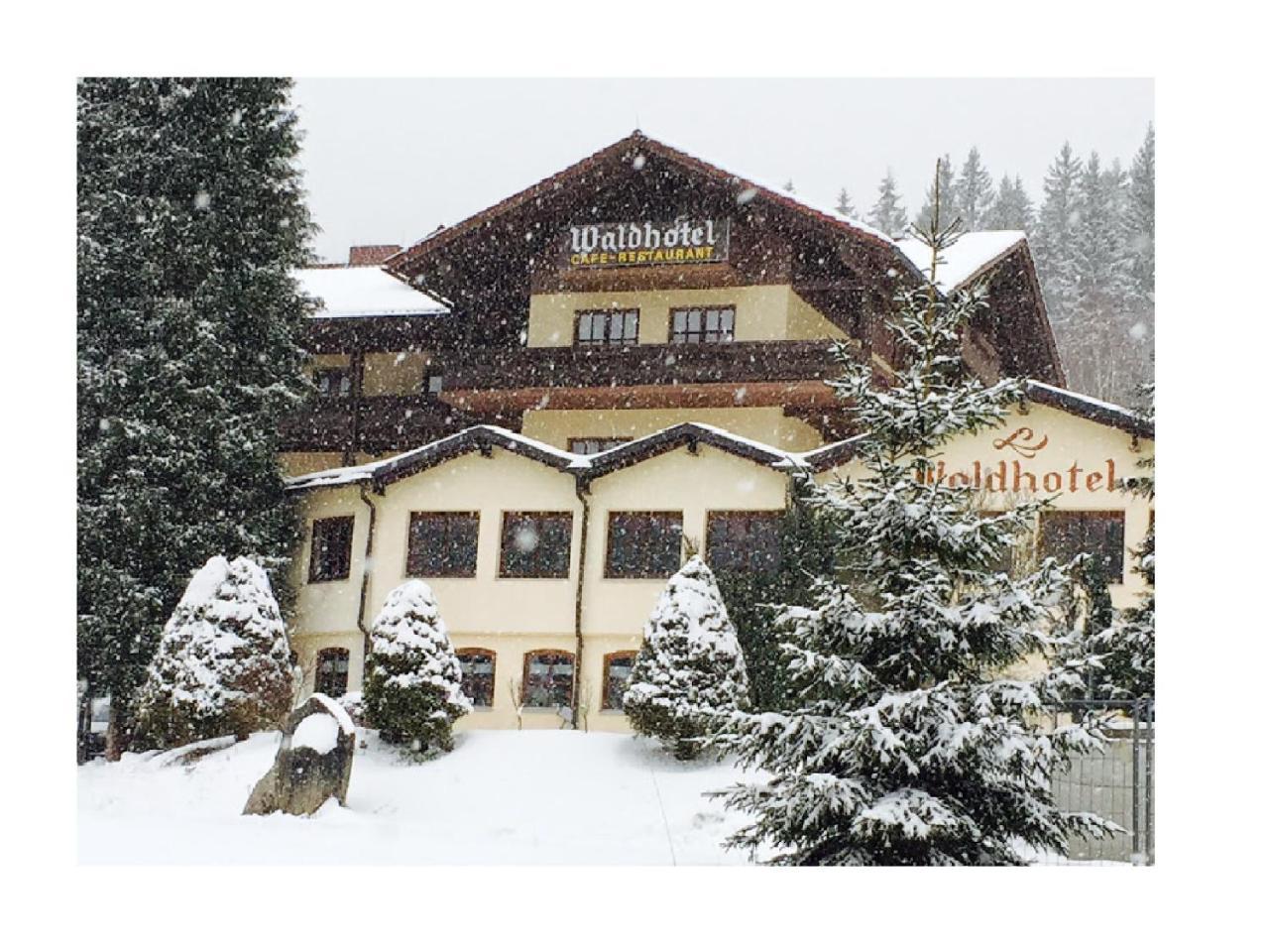 Waldhotel Seebachschleife Байериш Айзенщайн Екстериор снимка